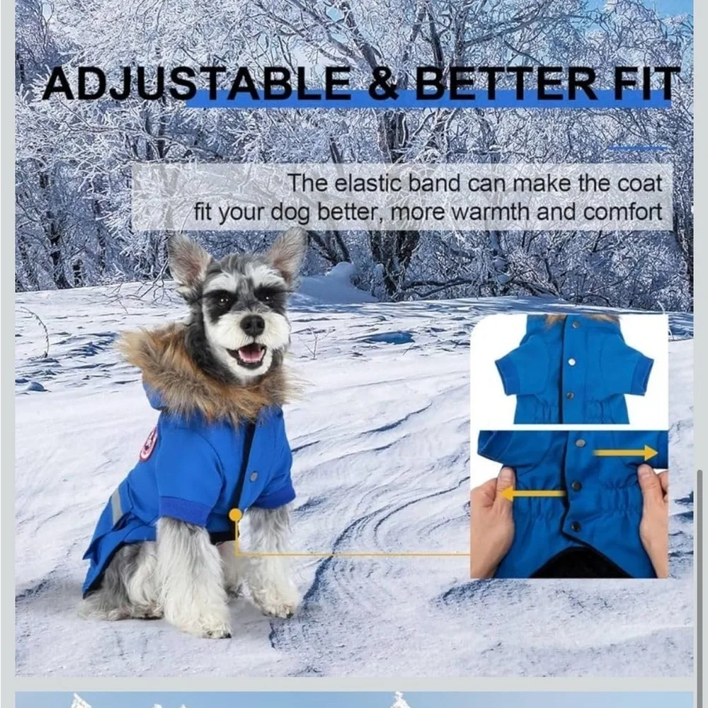 PINA size 2xl